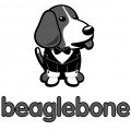 Beagle Bone