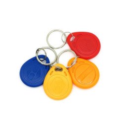 EM4100 125khz RFID Key Tag EM4100 125khz RFID Key Tag