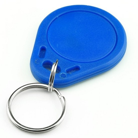 EM4100 125khz RFID Key Tag