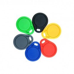 EM4100 125khz RFID Key Tag EM4100 125khz RFID Key Tag