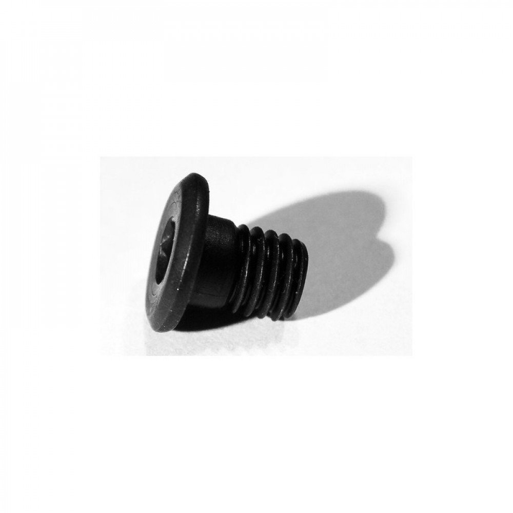 Low Profile Screws M5 (6mm)