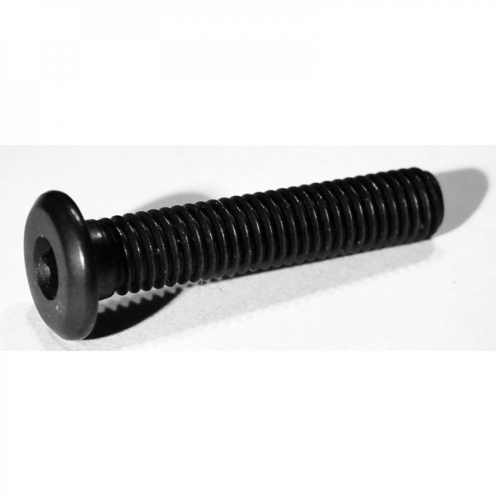 Low Profile Screws M5 (25mm)
