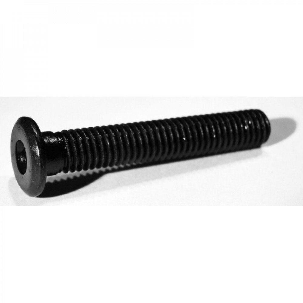 Low Profile Screws M5 (30mm)