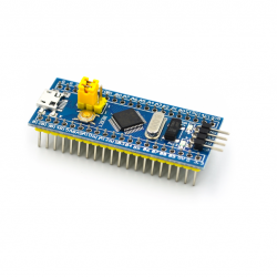 Carte de développement ARM STM32F103C8T6 (soudée) Carte de développement ARM STM32F103C8T6 (soudée)