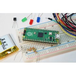 Carte de développement Raspberry Pi Pico  Carte de développement Raspberry Pi Pico
