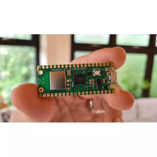 Raspberry Pi Pico W Raspberry Pi Pico W