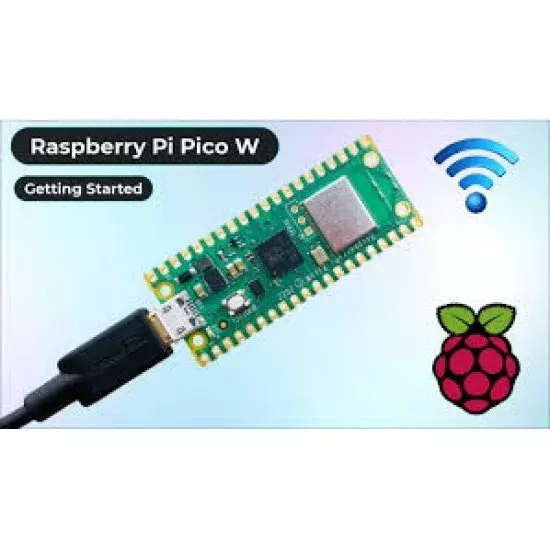 Raspberry Pi Pico W Raspberry Pi Pico W