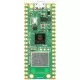Raspberry Pi Pico W Raspberry Pi Pico W