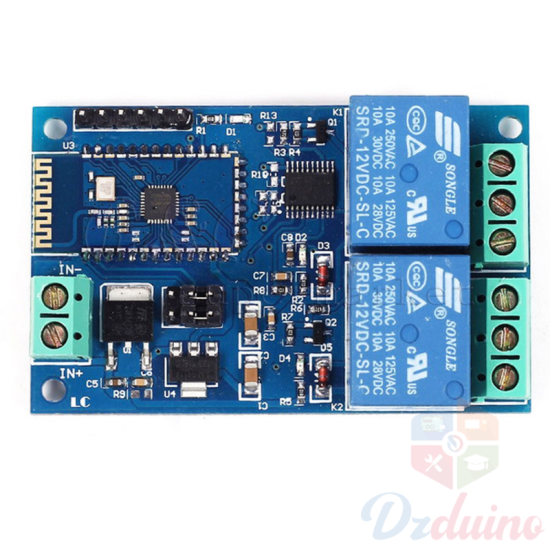 Module relais Bluetooth 2CH 12V