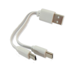 Batterie AA rechargeable USB Li-ion portable de type C 1.5V 2500mWh Batterie AA rechargeable USB Li-ion portable de type C 1.5V 2500mWh