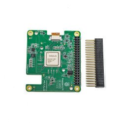 Raspberry Pi AI-HAT (13 TOPS)