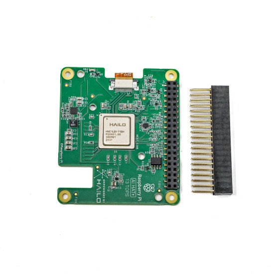 Raspberry Pi AI-HAT (13 TOPS)